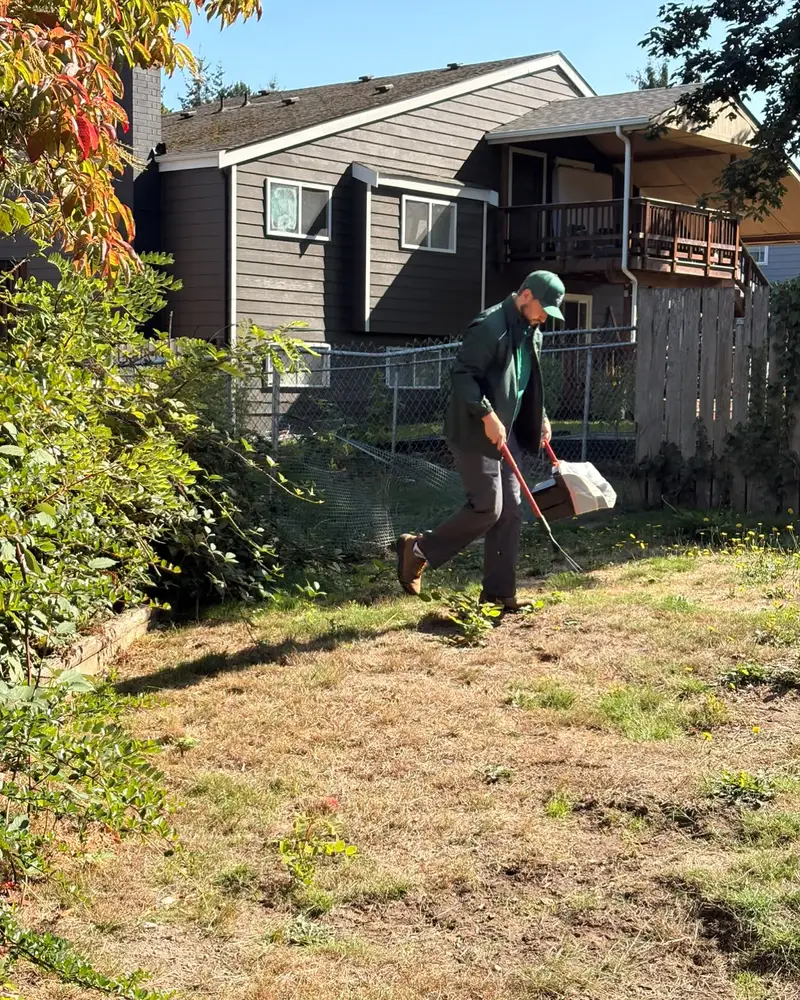 Doody Free scooper in green uniform walking a Federal Way backyard with rake and bin